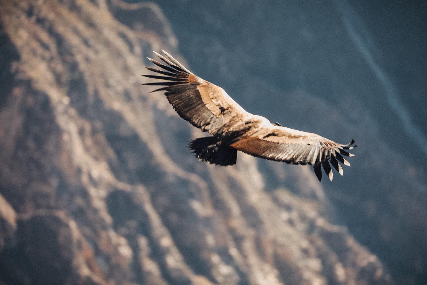 Best of Southern Peru 11 Days Adventure 2