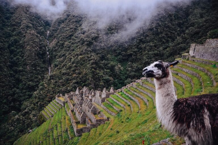 Cusco Eco Inca 12 Days