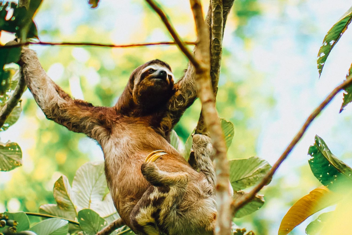 Eco Adventure Tour 3 days 3