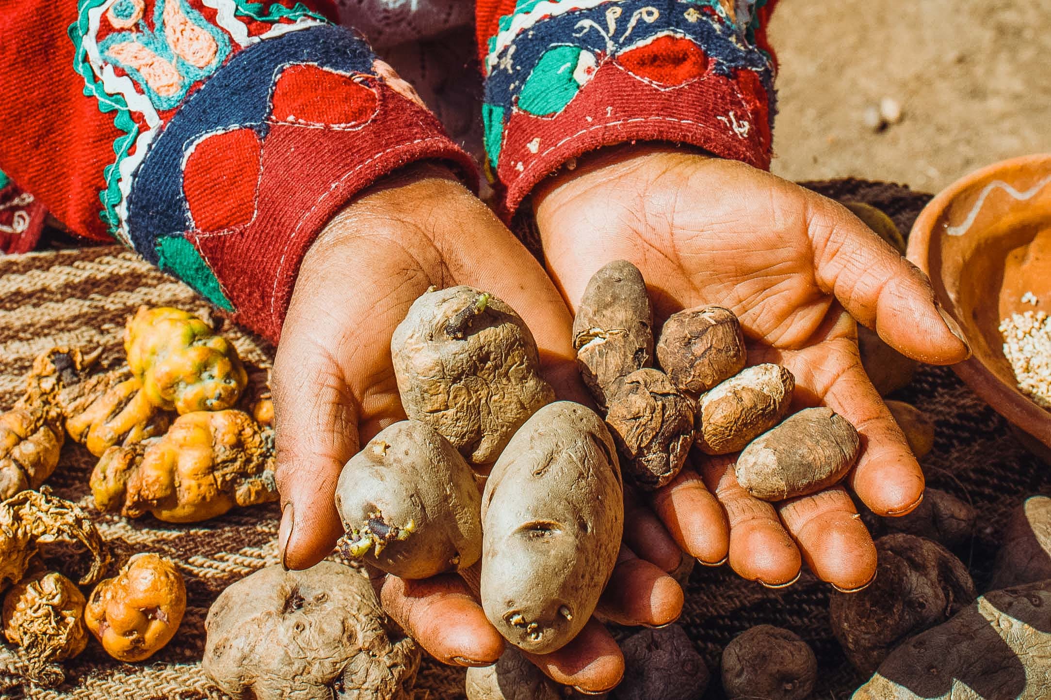 Experiential Tourism Kinsacocha Community of ParuParu