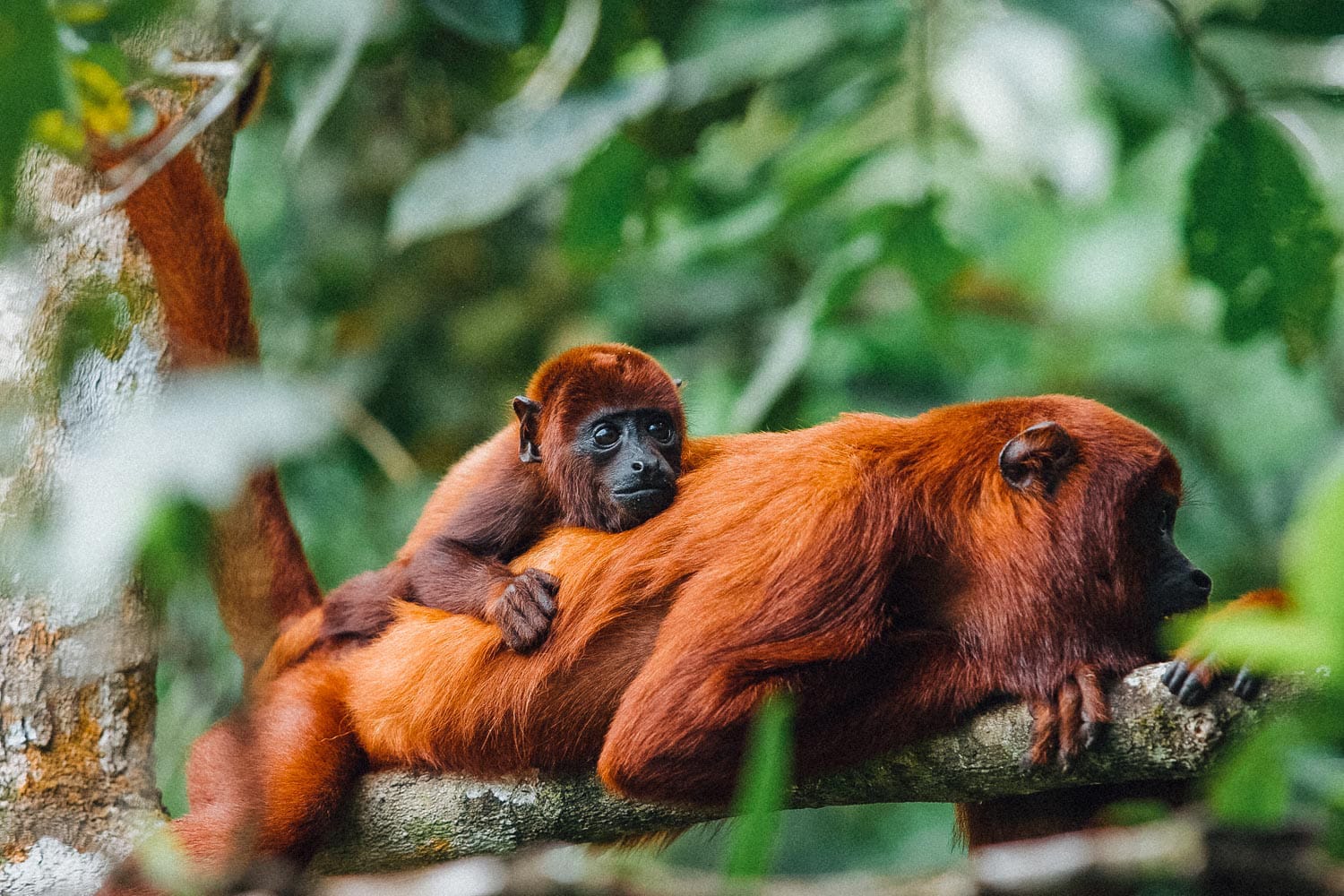 Explore the Coast and South of Peru on a 9 day trip 2
