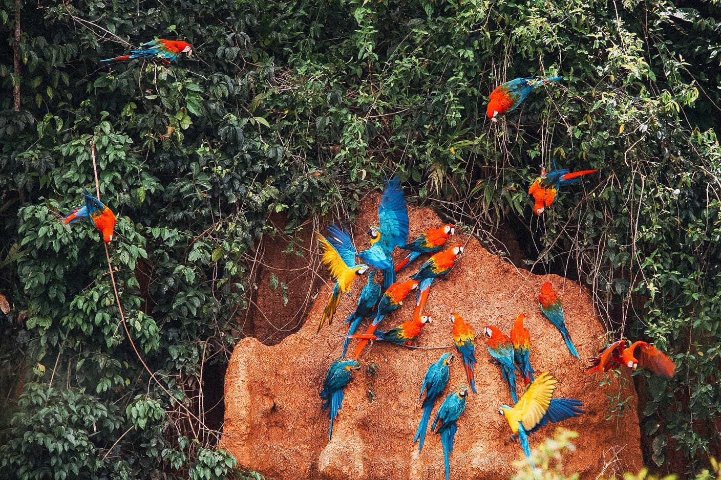 Explore the Coast and South of Peru on a 9 day trip 6