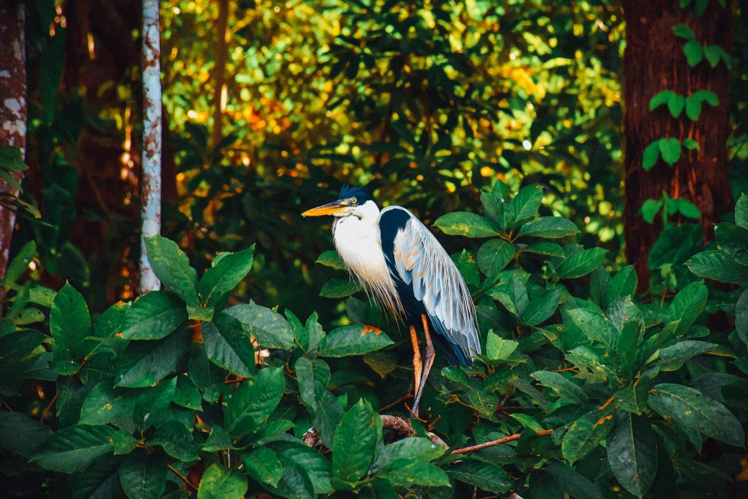 Peru Eco Adventures and Cultural Trip 1