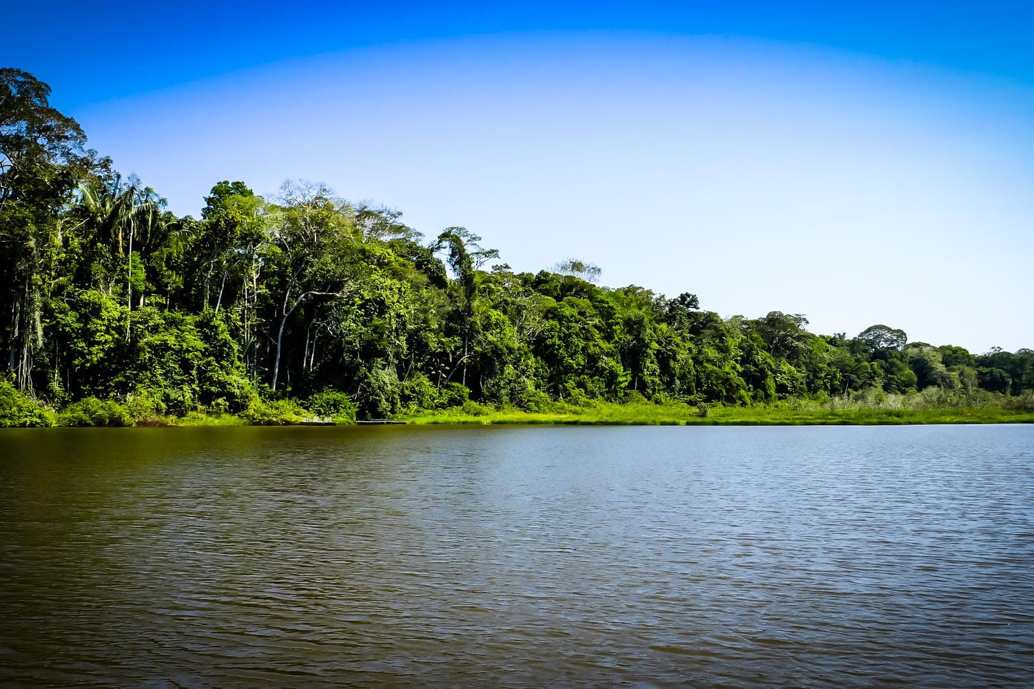 Puerto Maldonado Amazon Tour 2 Days 1