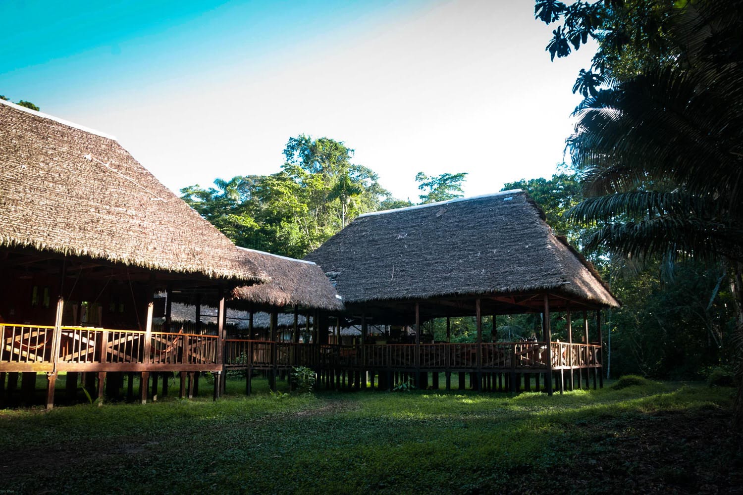 Puerto Maldonado Jungle Tour 3 Days 2