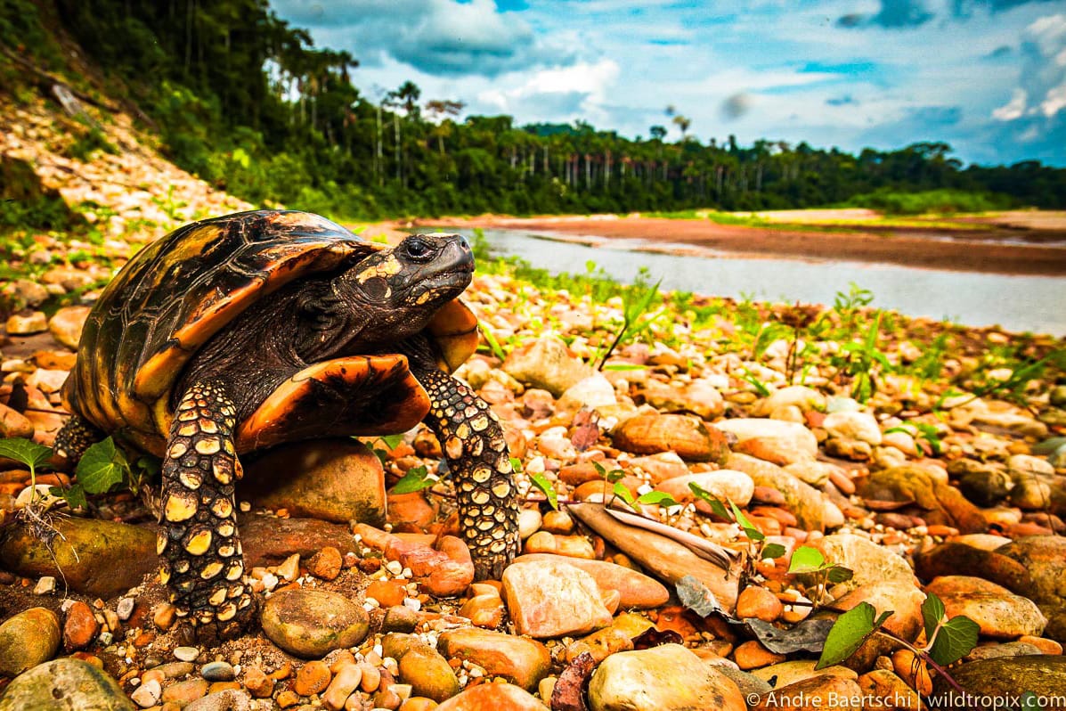 Puerto Maldonado Jungle Tour 3 Days 6